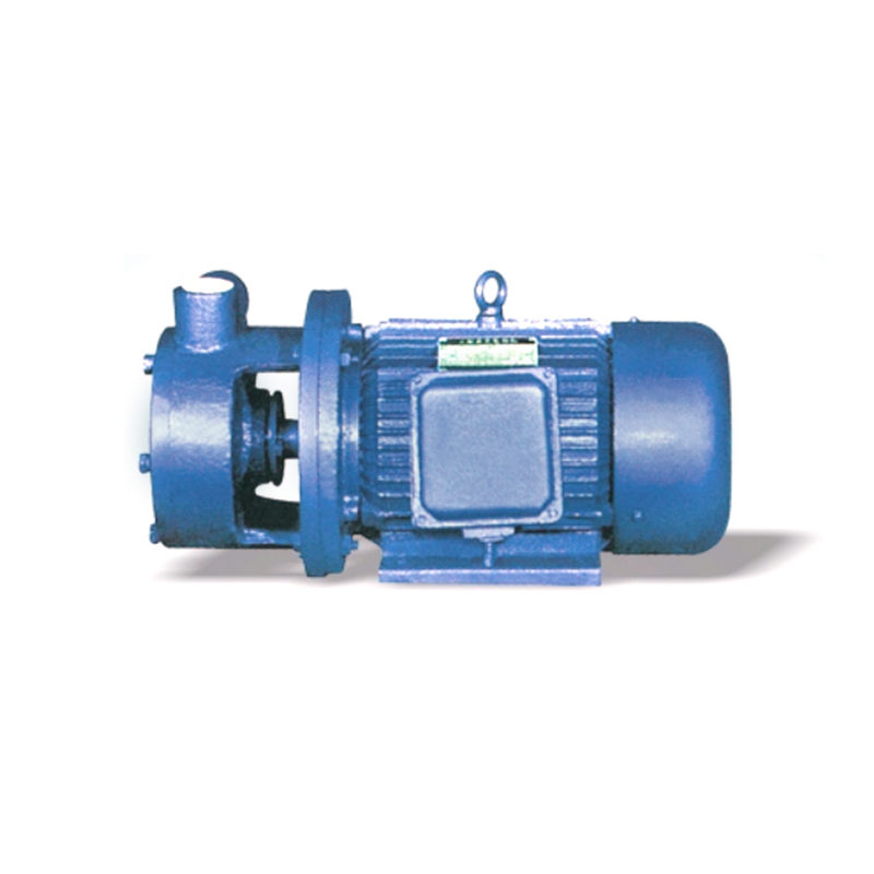 1W مضخة دوامة مرحلة واحدة