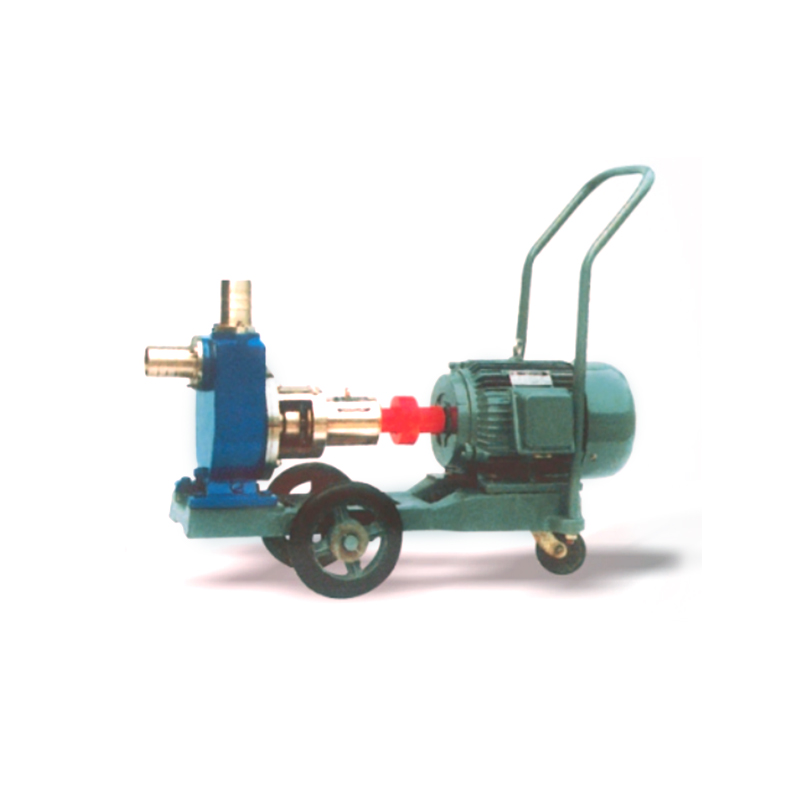 FMZ المضخة الكيميائية ذات الفولاذ المقاوم للصدأ